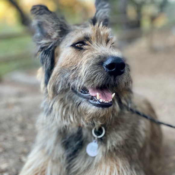 Meet Your Posher CP - Picture 10 of 16